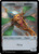 {Manifest Token} // {Thopter Token} [SGL-MTG-OTC-T28T27-ENN]