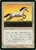 Pearled Unicorn (BB)
4th Edition - Black Border - Japanese
Single
Magic: The Gathering