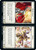 Blade Dance / Flurry // Gold / Gold
Mastery Pack Warrior
Single
Flesh and Blood