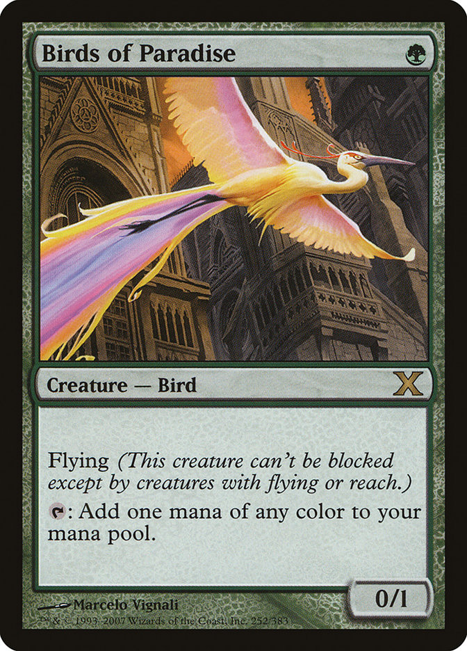 Birds of Paradise | 10th Edition | Star City Games