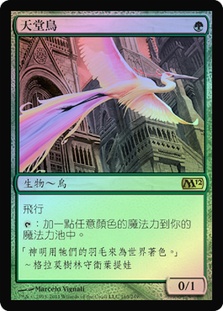 BirdsOfParadise__24395.