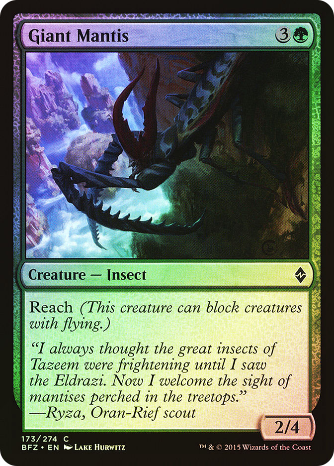 GiantMantis__76798.1651544092.