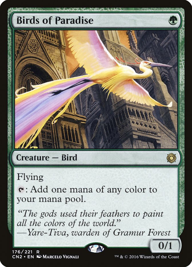 極楽鳥/Birds of Paradise Secret Lair PSA 10 culto.pro