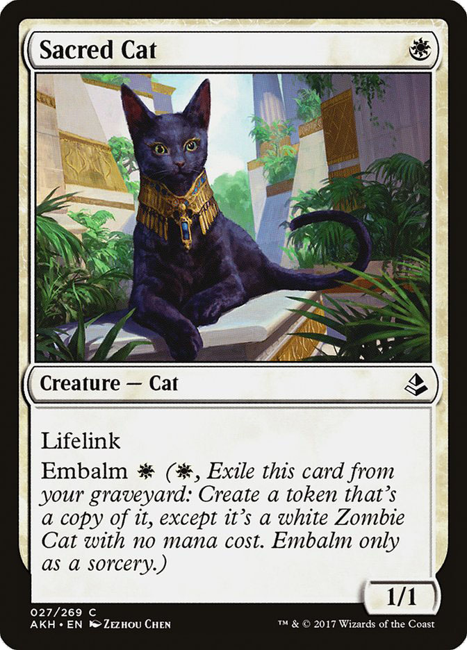 Sacred Cat | Amonkhet | Star City Games