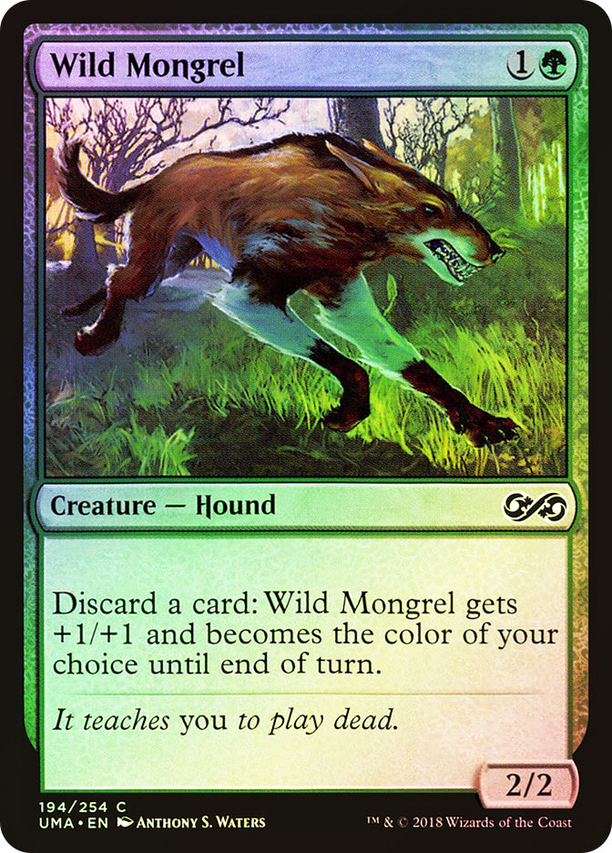 野生の雑種犬/Wild Mongrel Foil 英語 4枚 MTG WildMongrel__36324.1653334156.
