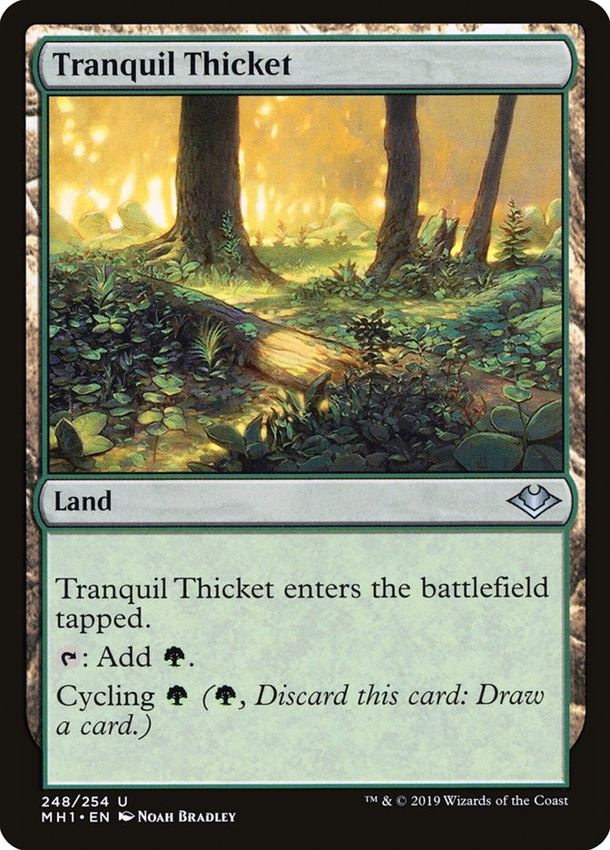 Tranquil Thicket | Modern Horizons | Star City Games