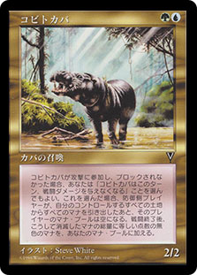 PygmyHippo__32583.1590612147.
