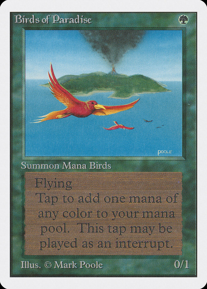 BirdsOfParadise__61418.