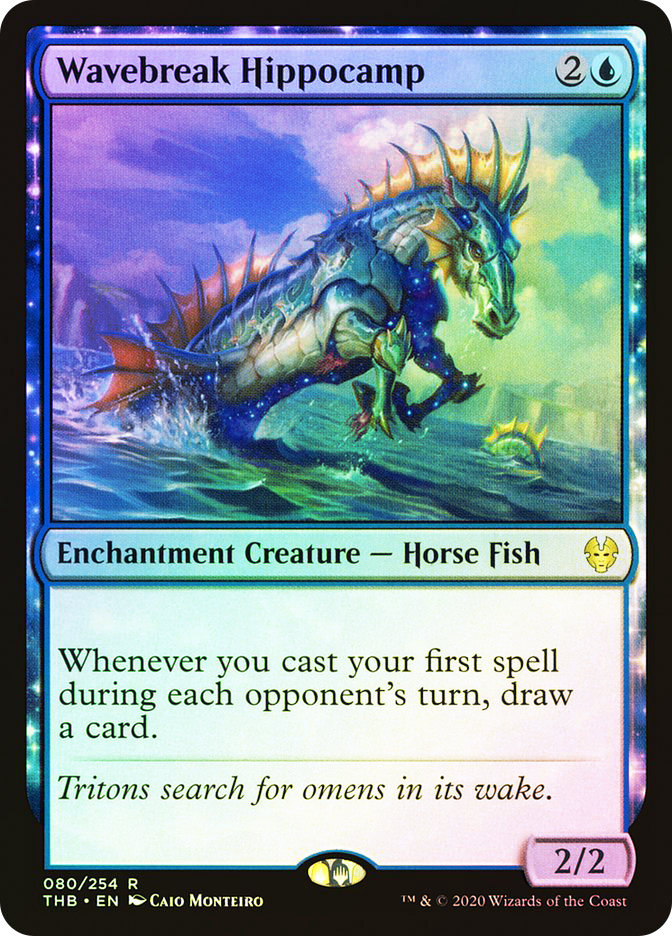 WavebreakHippocamp__80252.