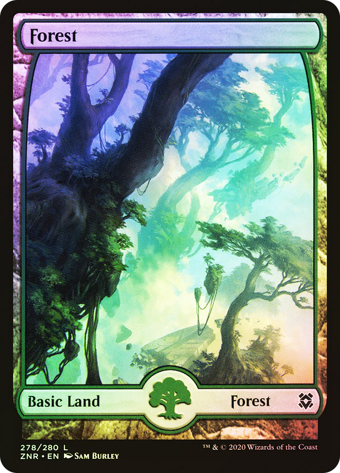 【MTG】森/Forest　初代アリーナランド版10枚セット Foil】《森/Forest》(MMQ版)[アリーナ] 土地 | 日本最大級 MTG