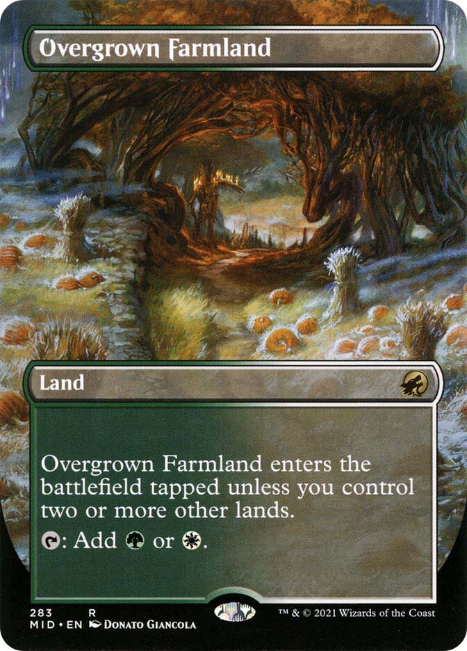 OvergrownFarmland283__10927.