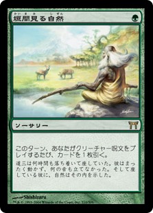 MTG 垣間見る自然/Glimpse of Nature 英語版FOIL 1枚 Glimpse of Nature | Champions of Kamigawa - Japanese | Star