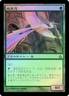 Birds of Paradise | Ravnica: City of Guilds - Japanese | Star City