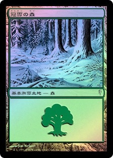 SnowCoveredForest__66754.