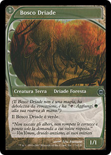 Dryad Arbor | Future Sight - Italian | Star City Games