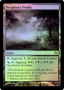 Magic The Gathering - Fetid Heath (Brughiera Fetida) - EVE - Carta Rara - 5