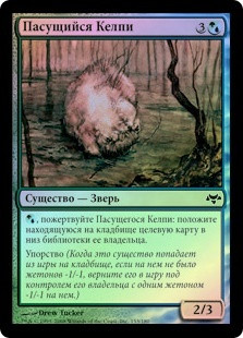 GrazingKelpie__93436.