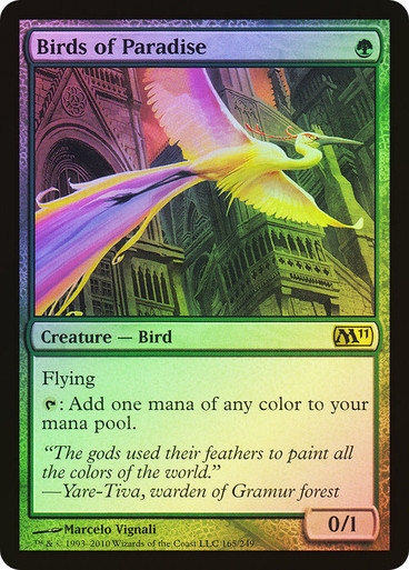 レア柄　ファイヤーキング　Bird of Paradise レア柄 ファイヤーキング Bird of Paradise