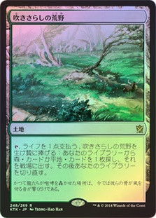 MTG ONS 吹きさらしの荒野/Windswept Heath 英語 2枚 吹きさらしの荒野