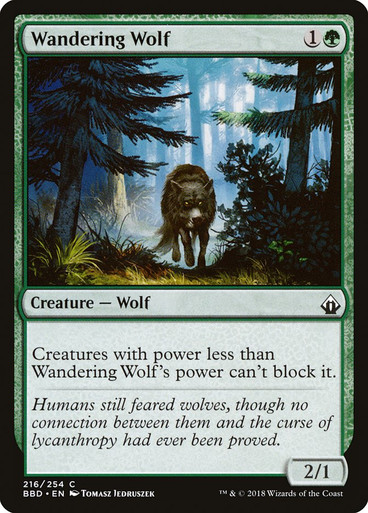 WanderingWolf__80528.