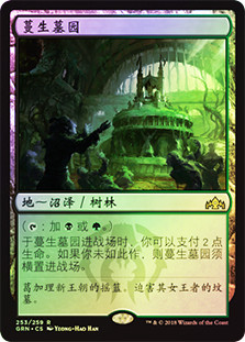 Overgrown Tomb | Guilds of Ravnica - Chinese - Simplified | Star