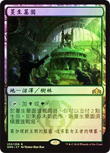 Overgrown Tomb | Guilds of Ravnica - Chinese - Traditional | Star