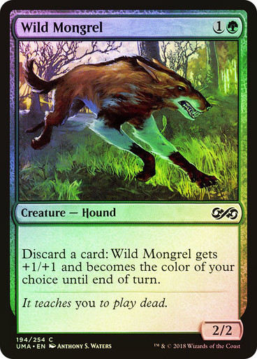 WildMongrel__36324.1653334156.