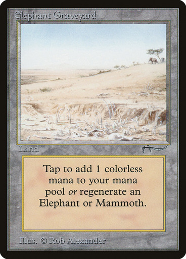 マジック：ザ・ギャザリング MTG Elephant Graveyard ElephantGraveyard__11825.