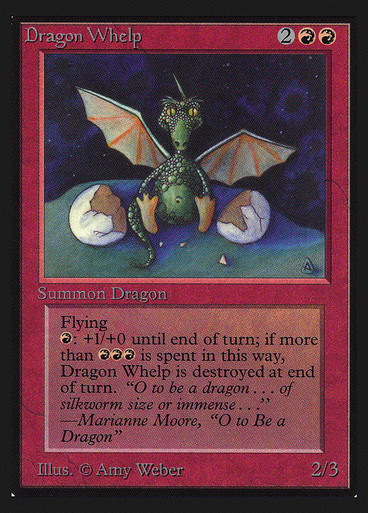 チビ・ドラゴン スケッチアート MTG Amy Weber Dragon Whelp (Not Tournament Legal) | Collectors' Edition