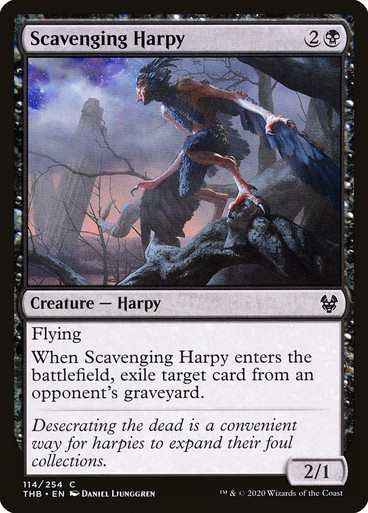 ScavengingHarpy__41748.
