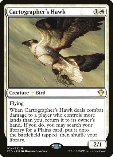 CartographersHawk__62594.