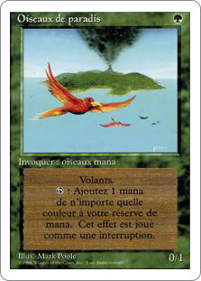 Birds of Paradise | 3rd Edition / Revised - French | Star City Games