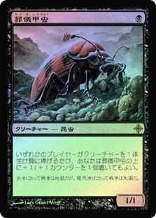 MorticianBeetle__76186.