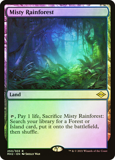 MistyRainforest__52655.