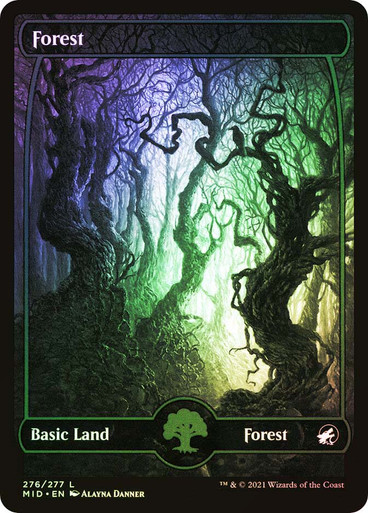Forest276__16541.1651540913.