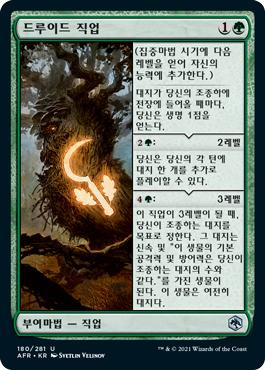Druid Class | Adventures in the Forgotten Realms - Korean | Star City Games