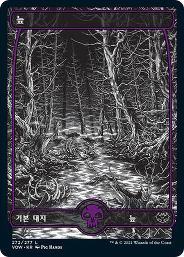 Swamp272__45324.1639694088.386