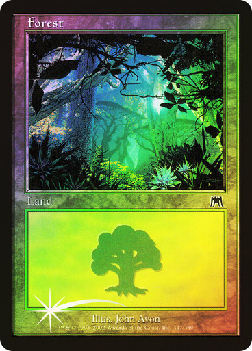 【正規品直輸入】 Forest347__63499.1651541122. マジック：ザ・ギャザリング