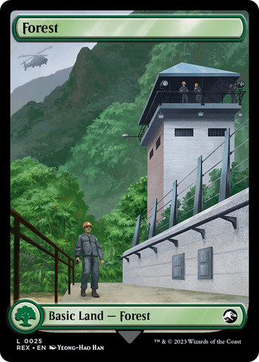 forest-025__89229.1765402030.