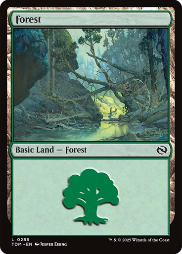 紙ジャケ2枚★フォレスト FOREST/フォレスト、フル・サークルHARVEST Forest | Tarkir: Dragonstorm | Star City Games