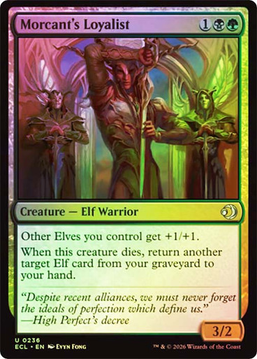 Morcant's Loyalist SGL-MTG-ECL-236-ENF、Magic: The Gathering、kayou