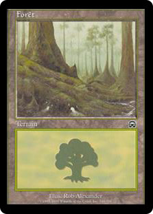 Forest (#348) | Mercadian Masques - French | Star City Games