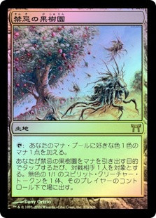 Forbidden Orchard | Champions of Kamigawa - Japanese | Star City Games