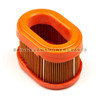 790166 - FILTER-A/C CARTRIDGE Briggs and Stratton - Image 1