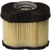 798748 - FILTER-AIR CLEANER CA Briggs and Stratton Original Part - Image 1