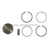795877 - PISTON ASSEMBLY-020 Briggs and Stratton Original Part - Image 1