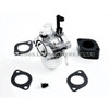 715784 - CARBURETOR Briggs and Stratton - Image 1
