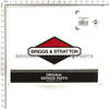 203046GS - PUMP Briggs and Stratton Original Part - Image 8