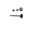 594095 - VALVE-EXHAUST Briggs and Stratton Original Part