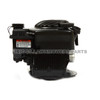 Briggs and Stratton 550E Series Engine 09P702-0198-F1